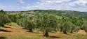 12220_15_05_2012_montalcino_hill_winery_tuscany_italy_toscana_italien_spring_scenic_outlook_viewpoint_panoramic_landscape_photography_panorama_landschaft_foto_22_10622x4801