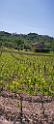 12610_17_05_2012_montalcino_hill_winery_tuscany_italy_toscana_italien_spring_scenic_outlook_viewpoint_panoramic_landscape_photography_panorama_landschaft_foto_80_4138x9417