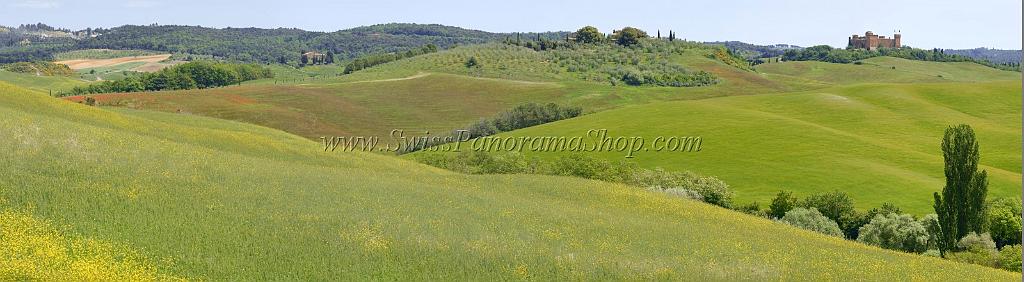 12392_18_05_2012_trequanda_tuscany_italy_toscana_italien_spring_fruehling_scenic_outlook_viewpoint_panoramic_landscape_photography_panorama_landschaft_foto_23_17254x4747