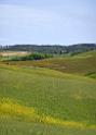 12391_18_05_2012_trequanda_tuscany_italy_toscana_italien_spring_fruehling_scenic_outlook_viewpoint_panoramic_landscape_photography_panorama_landschaft_foto_22_4847x6772