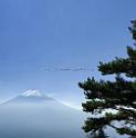 3343_18-10-2009-mount-fuji-view-from-mount-tenshouzan-by-kawaguchi-ko-lake-2_4165x4215