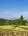 3367_18-10-2008-gotemba-japanese-country-side-rice-field-in-autumn-4_4090x5306