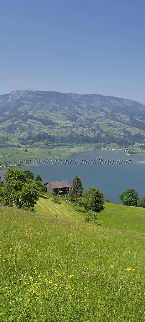 4705_23_05_2009_lauerzerberg_lauerzersee_steinerberg_sommer_1_4233x9349.jpg