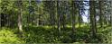 0209_13_05_2007_Stoos_Wald_1_10102x3953