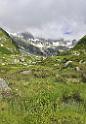 14144_09_07_2012_sustenpass_chli_sustli_uri_pass_panorama_alpen_blumen_berg_landschaft_wolken_bach_2_7149x10291