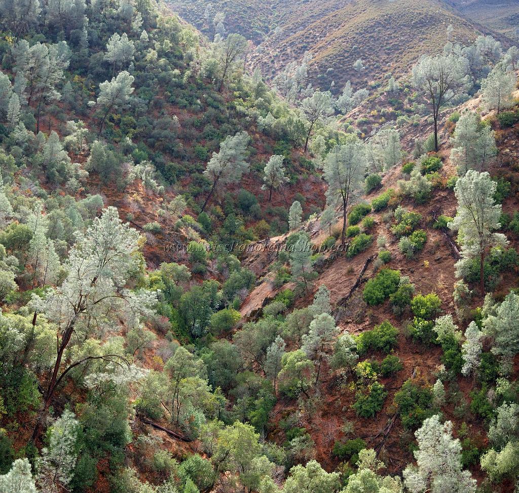 10163_06_10_2011_mariposa_bagby_pass_california_autumn_fall_color_tree_forest_river_valley_scenic_outlook_panoramic_landscape_photography_panorama_landschaft_4_6583x6254.jpg