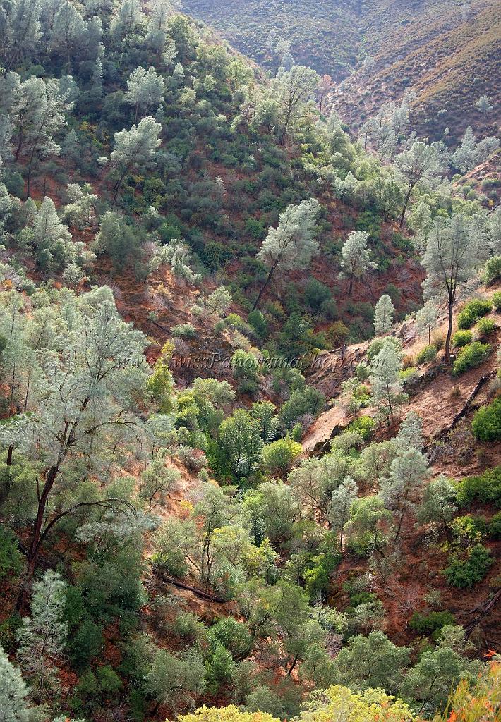 10164_06_10_2011_mariposa_bagby_pass_california_autumn_fall_color_tree_forest_river_valley_scenic_outlook_panoramic_landscape_photography_panorama_landschaft_5_4184x6028.jpg