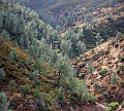 10162_06_10_2011_mariposa_bagby_pass_california_autumn_fall_color_tree_forest_river_valley_scenic_outlook_panoramic_landscape_photography_panorama_landschaft_3_6494x5827