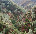 10163_06_10_2011_mariposa_bagby_pass_california_autumn_fall_color_tree_forest_river_valley_scenic_outlook_panoramic_landscape_photography_panorama_landschaft_4_6583x6254