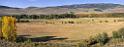 7166_15_09_2010_gunnison_national_forest_ohio_pass_colorado_ranch_landscape_autumn_color_fall_foliage_leaves_mountain_forest_panoramic_photos_panorama_3_10668x4023