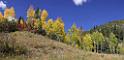 7302_16_09_2010_sawpit_silver_pick_road_colorado_landscape_autumn_color_fall_foliage_leaves_mountain_forest_panoramic_photos_panorama_65_8816x4276
