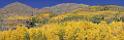 7522_19_09_2010_silverton_country_road_2_colorado_landscape_autumn_color_fall_foliage_leaves_mountain_forest_panoramic_photos_panorama_foto_nature_40_12970x4223