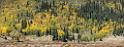 7526_19_09_2010_silverton_country_road_2_colorado_landscape_autumn_color_fall_foliage_leaves_mountain_forest_panoramic_photos_panorama_foto_nature_44_10712x4033