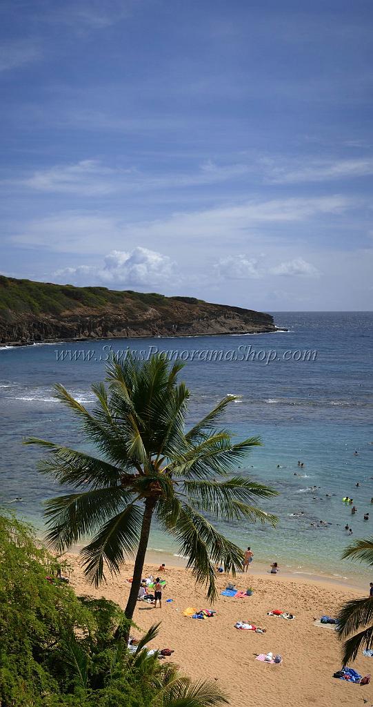 11839_26_10_2011_hanauma_bay_beach_park_oahu_hawaii_palmtree_tropical_paradise_ocean_scenic_outlook_viewpoint_panoramic_landscape_photography_panorama_landschaft_46_4786x9050.jpg