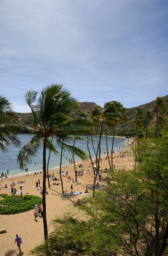 11840_26_10_2011_hanauma_bay_beach_park_oahu_hawaii_palmtree_tropical_paradise_ocean_scenic_outlook_viewpoint_panoramic_landscape_photography_panorama_landschaft_45_4758x7222.jpg