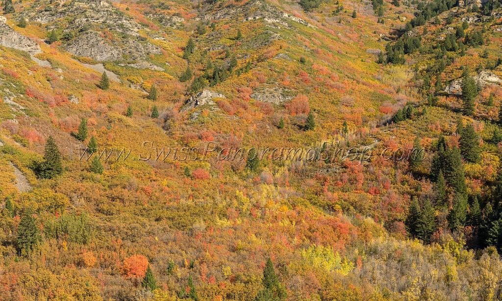 17041_09_10_2014_provo_sundance_alpine_loop_scenic_byway_utah_mountain_range_autumn_color_fall_foliage_leaves_forest_tree_panoramic_view_landscape_photo_32_11873x7106.jpg