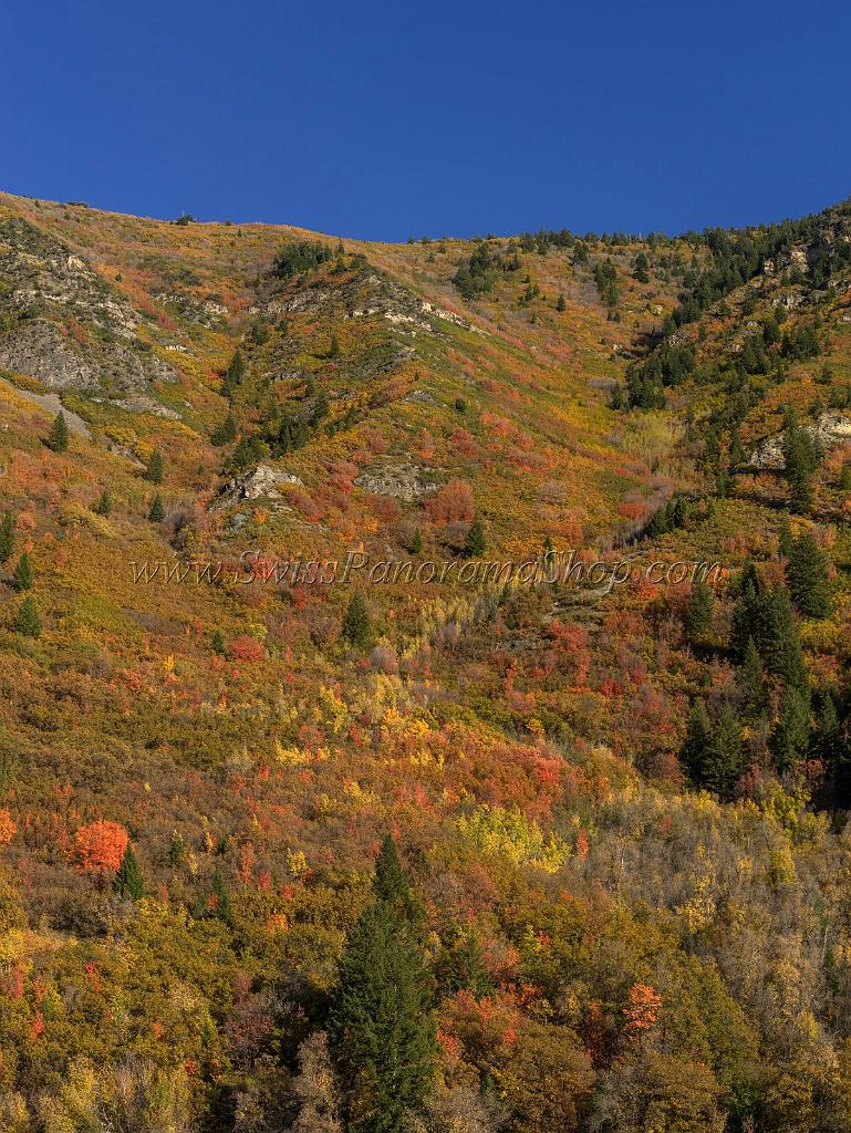 17042_09_10_2014_provo_sundance_alpine_loop_scenic_byway_utah_mountain_range_autumn_color_fall_foliage_leaves_forest_tree_panoramic_view_landscape_photo_31_7021x9355.jpg
