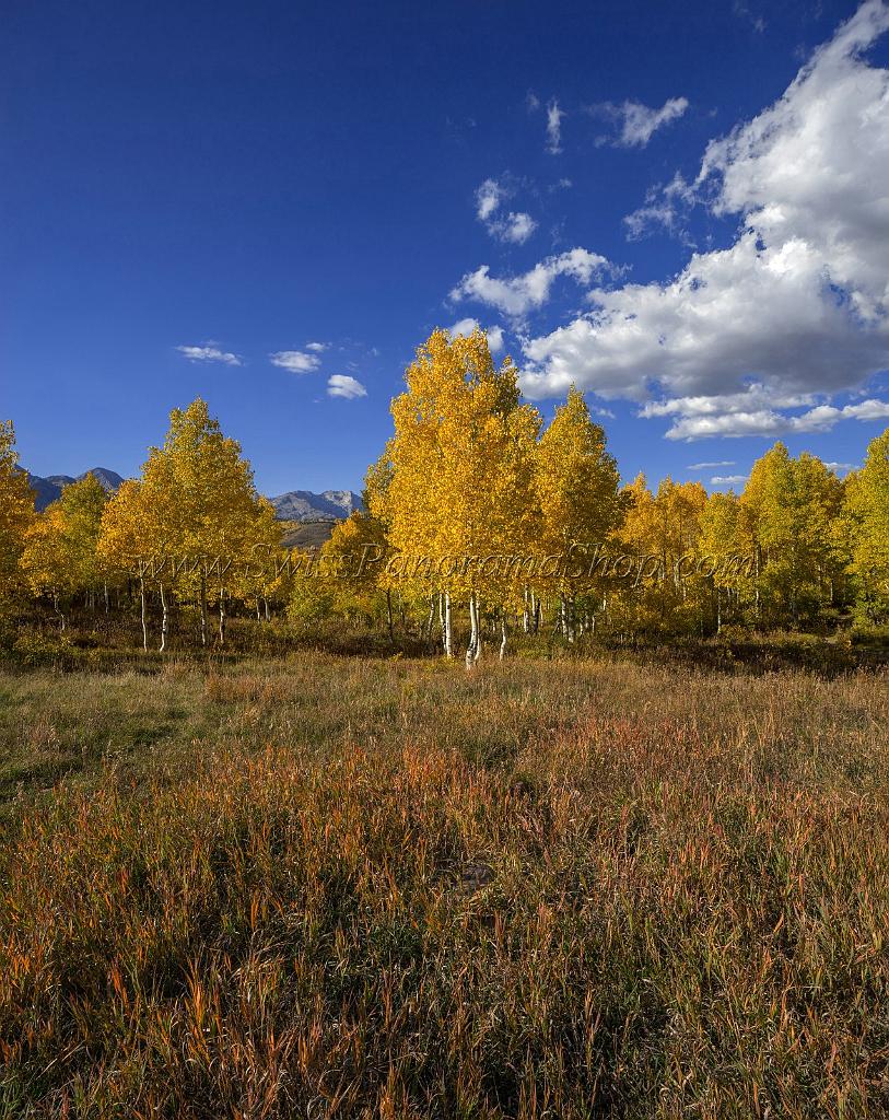 17044_09_10_2014_provo_sundance_alpine_loop_scenic_byway_utah_mountain_range_autumn_color_fall_foliage_leaves_forest_tree_panoramic_view_landscape_photo_29_7332x9232.jpg