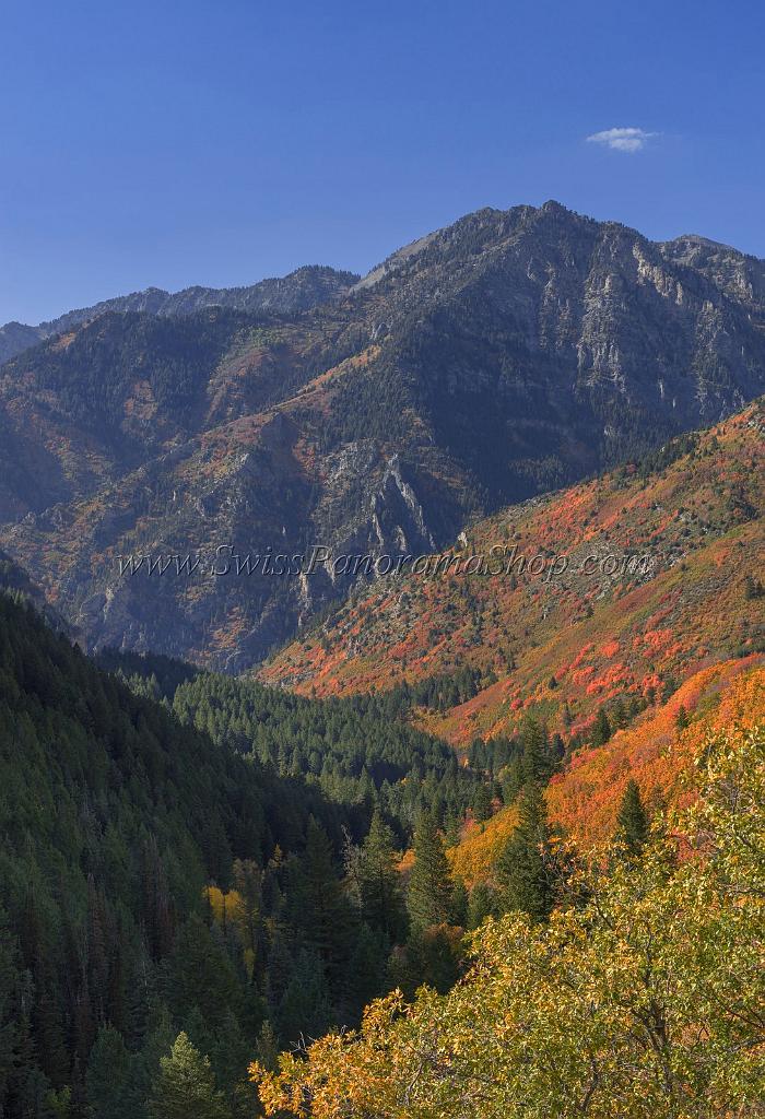 17046_09_10_2014_provo_sundance_alpine_loop_scenic_byway_utah_mountain_range_autumn_color_fall_foliage_leaves_forest_tree_panoramic_view_landscape_photo_27_7155x10474.jpg