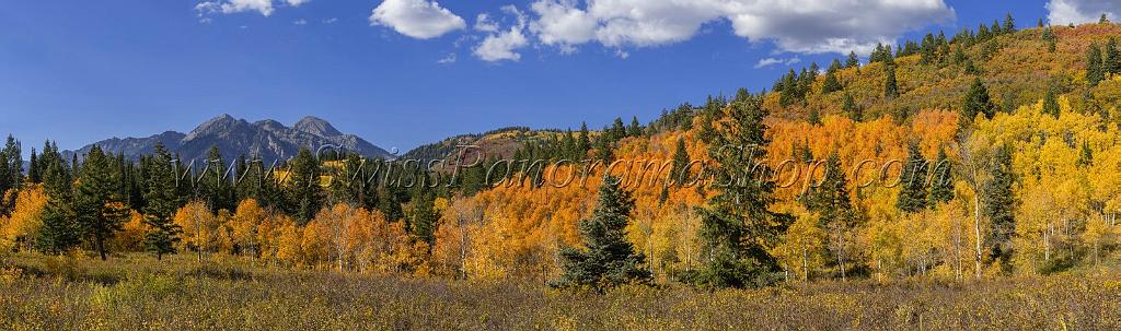 17047_09_10_2014_provo_sundance_alpine_loop_scenic_byway_utah_mountain_range_autumn_color_fall_foliage_leaves_forest_tree_panoramic_view_landscape_photo_26_23776x7037.jpg