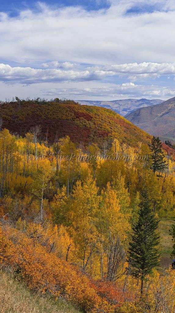 17048_09_10_2014_provo_sundance_alpine_loop_scenic_byway_utah_mountain_range_autumn_color_fall_foliage_leaves_forest_tree_panoramic_view_landscape_photo_25_7163x12792.jpg