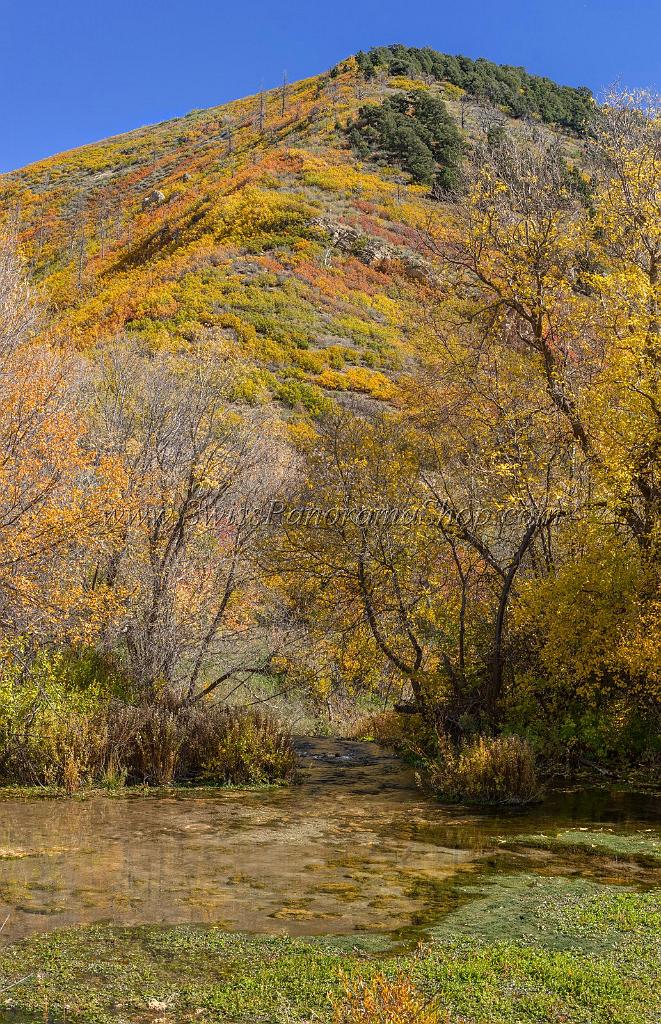 17052_09_10_2014_provo_sundance_alpine_loop_scenic_byway_cascade_springs_utah_mountain_range_autumn_color_fall_foliage_leaves_forest_tree_panoramic_view_landscape_photo_21_7091x10986.jpg