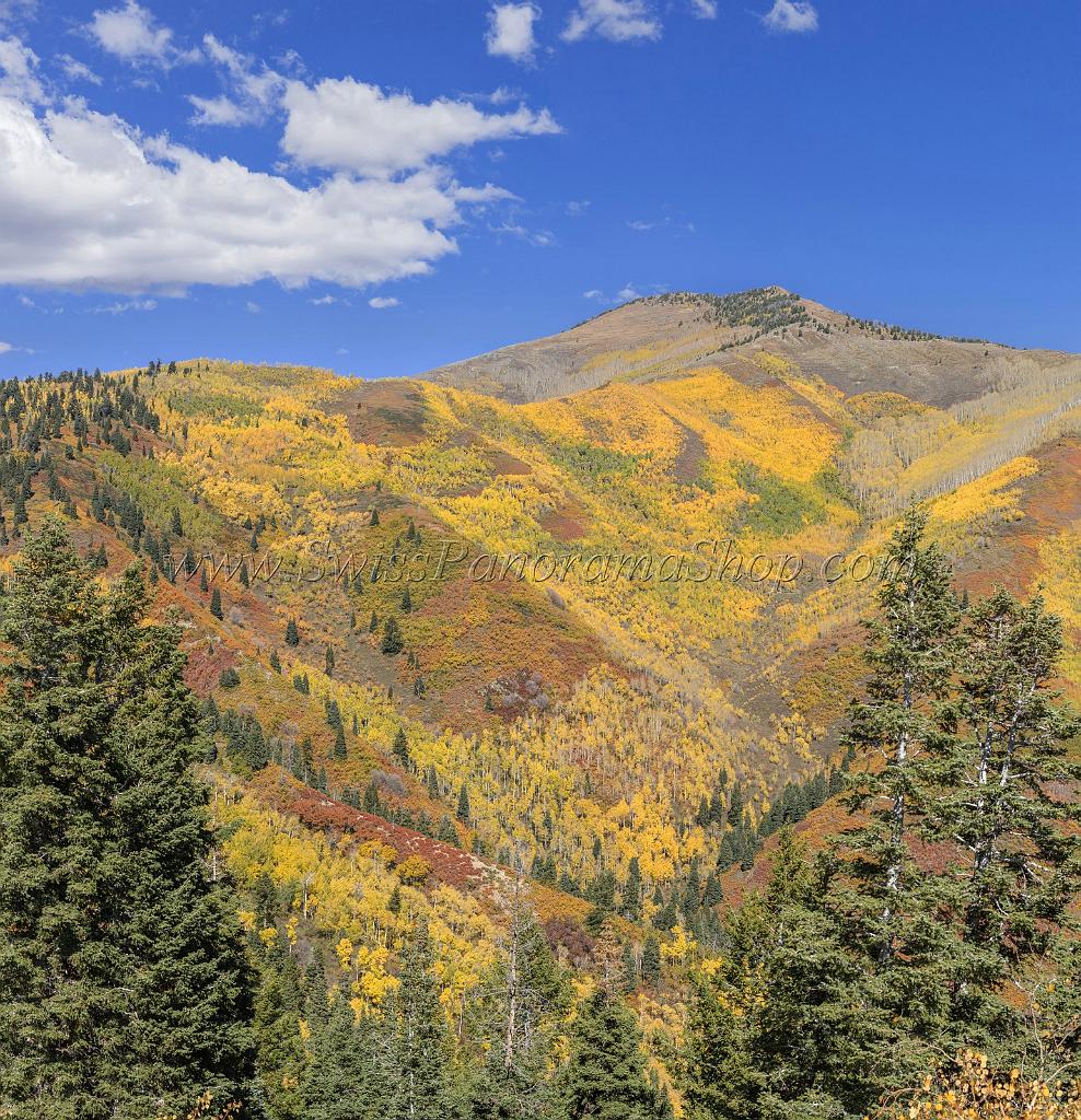 17053_09_10_2014_provo_sundance_alpine_loop_scenic_byway_utah_mountain_range_autumn_color_fall_foliage_leaves_forest_tree_panoramic_view_landscape_photo_20_10103x10477.jpg