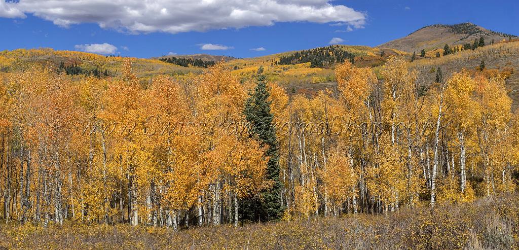 17054_09_10_2014_provo_sundance_alpine_loop_scenic_byway_utah_mountain_range_autumn_color_fall_foliage_leaves_forest_tree_panoramic_view_landscape_photo_19_14241x6856.jpg