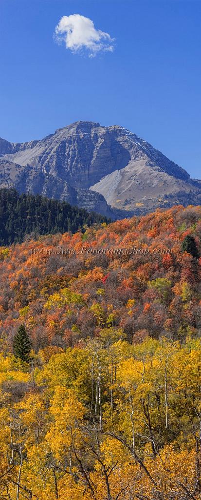 17057_09_10_2014_provo_sundance_alpine_loop_scenic_byway_utah_mountain_range_autumn_color_fall_foliage_leaves_forest_tree_panoramic_view_landscape_photo_16_7162x17755.jpg