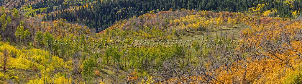 17059_09_10_2014_provo_sundance_alpine_loop_scenic_byway_utah_mountain_range_autumn_color_fall_foliage_leaves_forest_tree_panoramic_view_landscape_photo_14_25697x7219.jpg