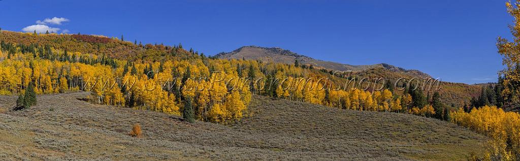 17061_09_10_2014_provo_sundance_alpine_loop_scenic_byway_utah_mountain_range_autumn_color_fall_foliage_leaves_forest_tree_panoramic_view_landscape_photo_12_23129x7171.jpg