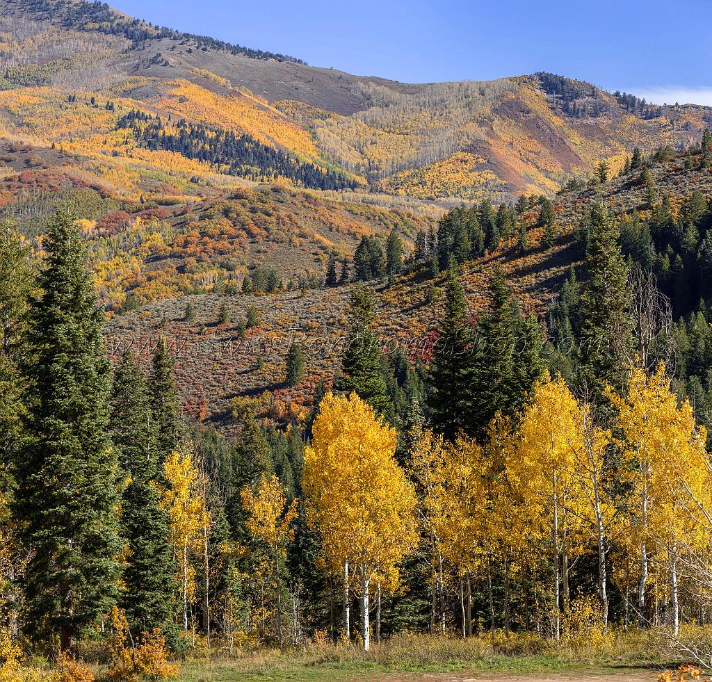 17062_09_10_2014_provo_sundance_alpine_loop_scenic_byway_utah_mountain_range_autumn_color_fall_foliage_leaves_forest_tree_panoramic_view_landscape_photo_11_7551x7237.jpg