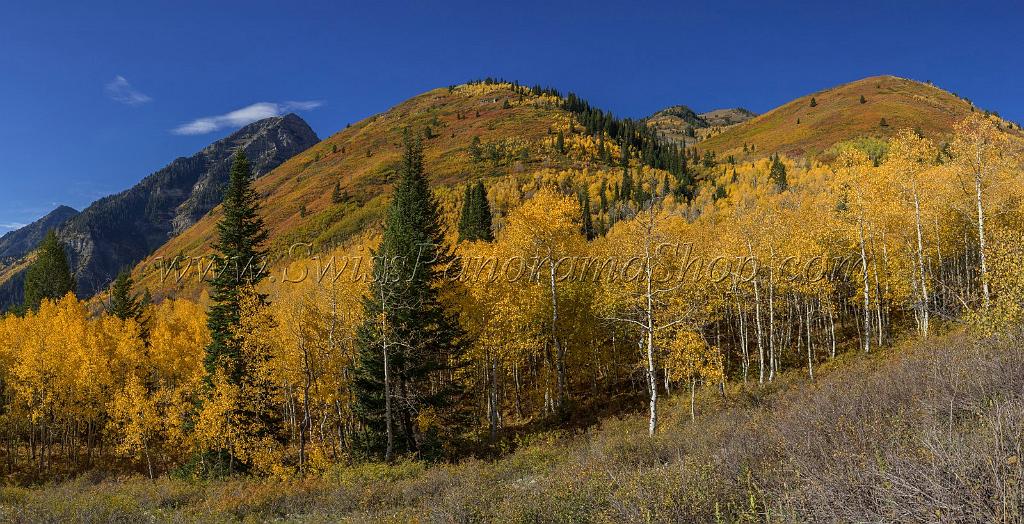 17065_09_10_2014_provo_sundance_alpine_loop_scenic_byway_utah_mountain_range_autumn_color_fall_foliage_leaves_forest_tree_panoramic_view_landscape_photo_34_12471x6381.jpg
