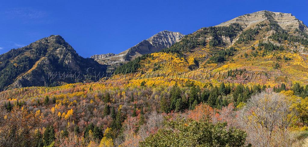17069_09_10_2014_provo_sundance_alpine_loop_scenic_byway_utah_mountain_range_autumn_color_fall_foliage_leaves_forest_tree_panoramic_view_landscape_photo_5_14664x7003.jpg