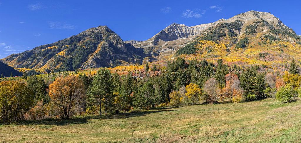 17071_09_10_2014_provo_sundance_alpine_loop_scenic_byway_utah_mountain_range_autumn_color_fall_foliage_leaves_forest_tree_panoramic_view_landscape_photo_3_14646x6956.jpg