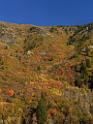 17042_09_10_2014_provo_sundance_alpine_loop_scenic_byway_utah_mountain_range_autumn_color_fall_foliage_leaves_forest_tree_panoramic_view_landscape_photo_31_7021x9355