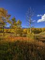 17043_09_10_2014_provo_sundance_alpine_loop_scenic_byway_utah_mountain_range_autumn_color_fall_foliage_leaves_forest_tree_panoramic_view_landscape_photo_30_7292x9610