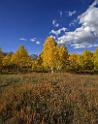 17044_09_10_2014_provo_sundance_alpine_loop_scenic_byway_utah_mountain_range_autumn_color_fall_foliage_leaves_forest_tree_panoramic_view_landscape_photo_29_7332x9232