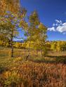 17045_09_10_2014_provo_sundance_alpine_loop_scenic_byway_utah_mountain_range_autumn_color_fall_foliage_leaves_forest_tree_panoramic_view_landscape_photo_28_7288x9587