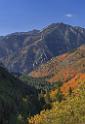 17046_09_10_2014_provo_sundance_alpine_loop_scenic_byway_utah_mountain_range_autumn_color_fall_foliage_leaves_forest_tree_panoramic_view_landscape_photo_27_7155x10474