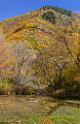 17052_09_10_2014_provo_sundance_alpine_loop_scenic_byway_cascade_springs_utah_mountain_range_autumn_color_fall_foliage_leaves_forest_tree_panoramic_view_landscape_photo_21_7091x10986