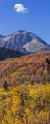 17057_09_10_2014_provo_sundance_alpine_loop_scenic_byway_utah_mountain_range_autumn_color_fall_foliage_leaves_forest_tree_panoramic_view_landscape_photo_16_7162x17755