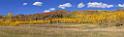 17058_09_10_2014_provo_sundance_alpine_loop_scenic_byway_utah_mountain_range_autumn_color_fall_foliage_leaves_forest_tree_panoramic_view_landscape_photo_15_23829x7119