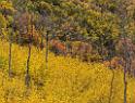 17060_09_10_2014_provo_sundance_alpine_loop_scenic_byway_utah_mountain_range_autumn_color_fall_foliage_leaves_forest_tree_panoramic_view_landscape_photo_13_8414x6475