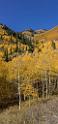 17064_09_10_2014_provo_sundance_alpine_loop_scenic_byway_utah_mountain_range_autumn_color_fall_foliage_leaves_forest_tree_panoramic_view_landscape_photo_9_6860x14630