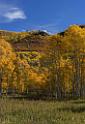 17067_09_10_2014_provo_sundance_alpine_loop_scenic_byway_utah_mountain_range_autumn_color_fall_foliage_leaves_forest_tree_panoramic_view_landscape_photo_7_7049x10253