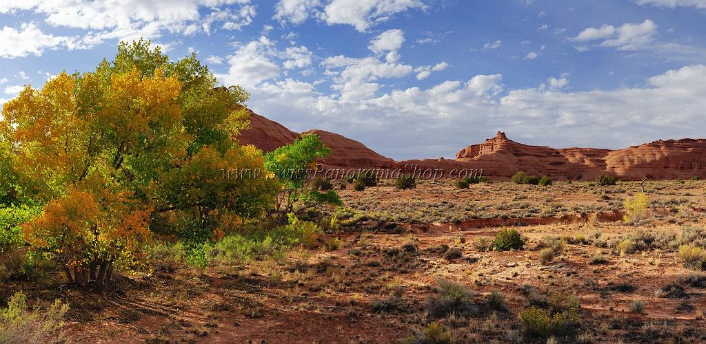 14139_11_10_2012_moab_arches_national_park_tree_curthouse_towers_utah_red_rock_formation_autum_fall_color_panoramic_landscape_photography_76_14534x7105.jpg