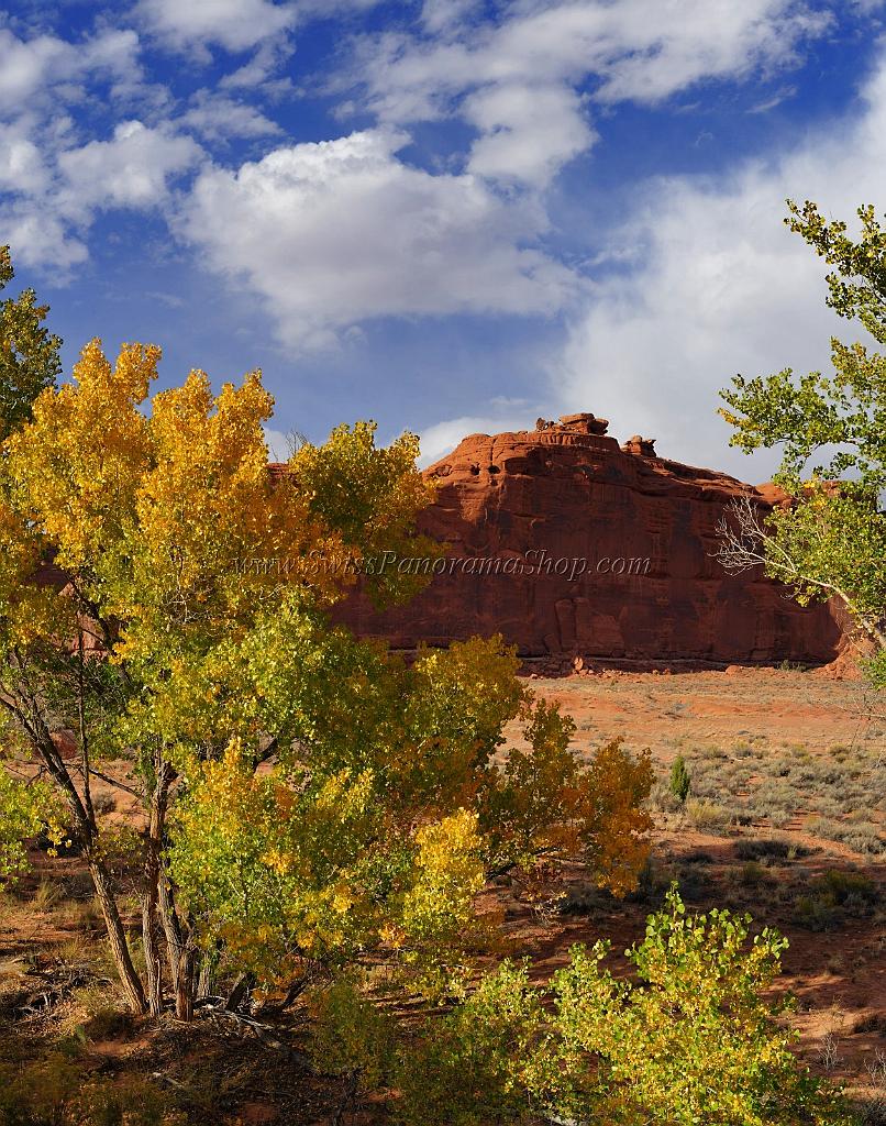 14141_11_10_2012_moab_arches_national_park_tree_curthouse_towers_utah_red_rock_formation_autum_fall_color_panoramic_landscape_photography_78_7321x9300.jpg