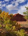 14141_11_10_2012_moab_arches_national_park_tree_curthouse_towers_utah_red_rock_formation_autum_fall_color_panoramic_landscape_photography_78_7321x9300
