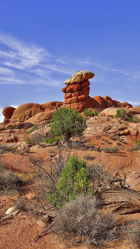 13969_10_10_2012_moab_arches_national_park_elephant_butte_utah_red_rock_formation_sand_desert_autum_fall_color_panoramic_landscape_photography_7_7056x12528.jpg